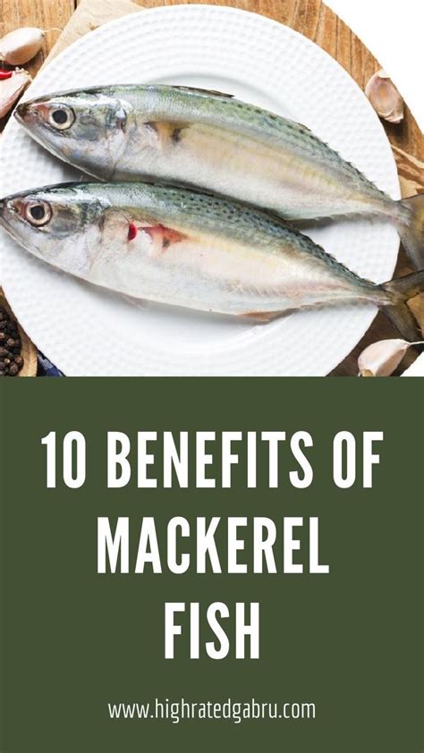 bdo mackerel|canned mackerel health benefits.